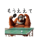 オラウータン×卓球！3Dリアル（個別スタンプ：26）