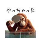 オラウータン×卓球！3Dリアル（個別スタンプ：28）