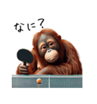 オラウータン×卓球！3Dリアル（個別スタンプ：31）