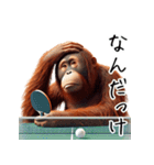 オラウータン×卓球！3Dリアル（個別スタンプ：33）