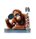 オラウータン×卓球！3Dリアル（個別スタンプ：34）