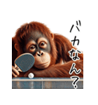 オラウータン×卓球！3Dリアル（個別スタンプ：36）