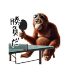 オラウータン×卓球！3Dリアル（個別スタンプ：37）