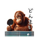 オラウータン×卓球！3Dリアル（個別スタンプ：39）