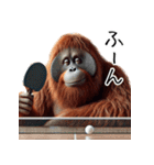 オラウータン×卓球！3Dリアル（個別スタンプ：40）