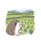 ハリネズミの充実した生活（個別スタンプ：7）