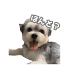 はっぴーLv.3（個別スタンプ：1）