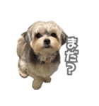はっぴーLv.3（個別スタンプ：5）