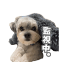 はっぴーLv.3（個別スタンプ：6）