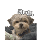 はっぴーLv.3（個別スタンプ：9）