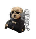 はっぴーLv.3（個別スタンプ：10）
