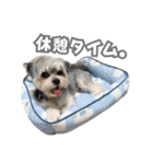 はっぴーLv.3（個別スタンプ：14）