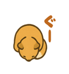 ほっこりきつねのひとことスタンプ（個別スタンプ：8）
