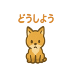 ほっこりきつねのひとことスタンプ（個別スタンプ：24）