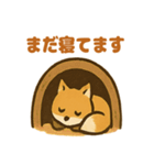 ほっこりきつねのひとことスタンプ（個別スタンプ：37）