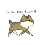 LOVEたっぷり猫（個別スタンプ：19）