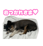 ぽっちゃん-カワイイ-（個別スタンプ：6）
