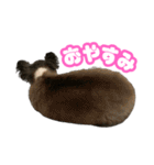ぽっちゃん-カワイイ-（個別スタンプ：15）