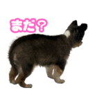 ぽっちゃん-カワイイ-（個別スタンプ：19）