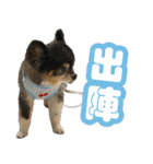 ぽっちゃん-カワイイ-（個別スタンプ：20）