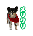ぽっちゃん-カワイイ-（個別スタンプ：23）