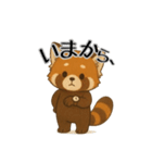 レッサーパンダ日常スタンプ第3弾（個別スタンプ：3）