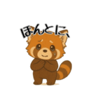 レッサーパンダ日常スタンプ第3弾（個別スタンプ：6）