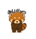 レッサーパンダ日常スタンプ第3弾（個別スタンプ：10）