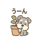 かくれんぼシュナのご連絡セット（個別スタンプ：2）