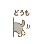 かくれんぼシュナのご連絡セット（個別スタンプ：3）