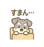 かくれんぼシュナのご連絡セット（個別スタンプ：4）