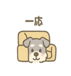 かくれんぼシュナのご連絡セット（個別スタンプ：6）