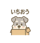 かくれんぼシュナのご連絡セット（個別スタンプ：7）