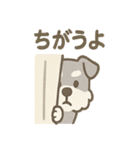 かくれんぼシュナのご連絡セット（個別スタンプ：8）