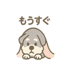かくれんぼシュナのご連絡セット（個別スタンプ：9）