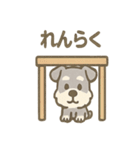 かくれんぼシュナのご連絡セット（個別スタンプ：12）