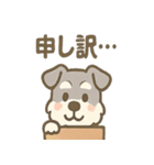 かくれんぼシュナのご連絡セット（個別スタンプ：16）