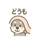 かくれんぼシュナのご連絡セット（個別スタンプ：17）