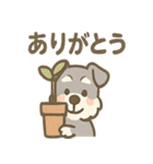 かくれんぼシュナのご連絡セット（個別スタンプ：19）