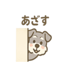 かくれんぼシュナのご連絡セット（個別スタンプ：20）