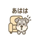 かくれんぼシュナのご連絡セット（個別スタンプ：22）
