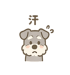 かくれんぼシュナのご連絡セット（個別スタンプ：23）
