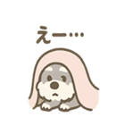 かくれんぼシュナのご連絡セット（個別スタンプ：24）