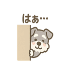 かくれんぼシュナのご連絡セット（個別スタンプ：25）
