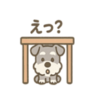 かくれんぼシュナのご連絡セット（個別スタンプ：26）