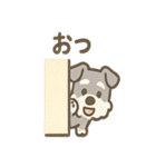 かくれんぼシュナのご連絡セット（個別スタンプ：27）