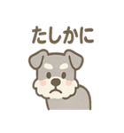 かくれんぼシュナのご連絡セット（個別スタンプ：29）