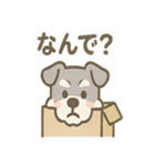 かくれんぼシュナのご連絡セット（個別スタンプ：30）