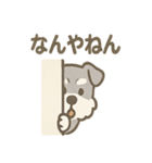 かくれんぼシュナのご連絡セット（個別スタンプ：35）
