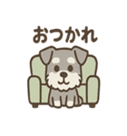 かくれんぼシュナのご連絡セット（個別スタンプ：38）